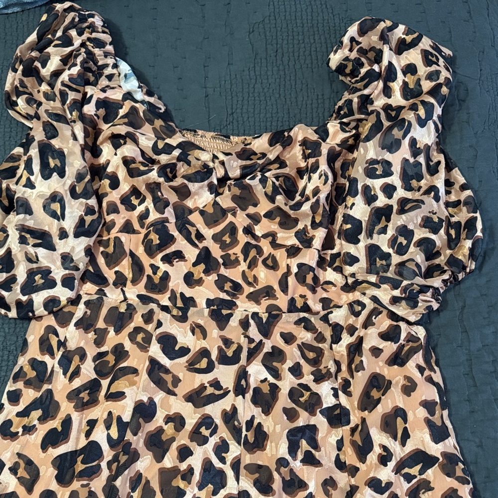 Anthropologie Leopard Print Maxi Dress